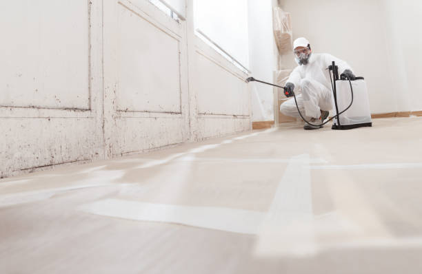 24/7 Emergency Basement Mold Remediation experts in Clayton, NJ